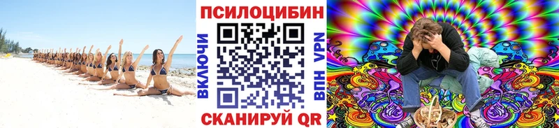 Псилоцибиновые грибы GOLDEN TEACHER  Купить где  Купино 